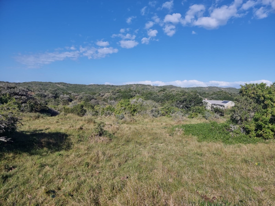 0 Bedroom Property for Sale in Boesmansriviermond Eastern Cape